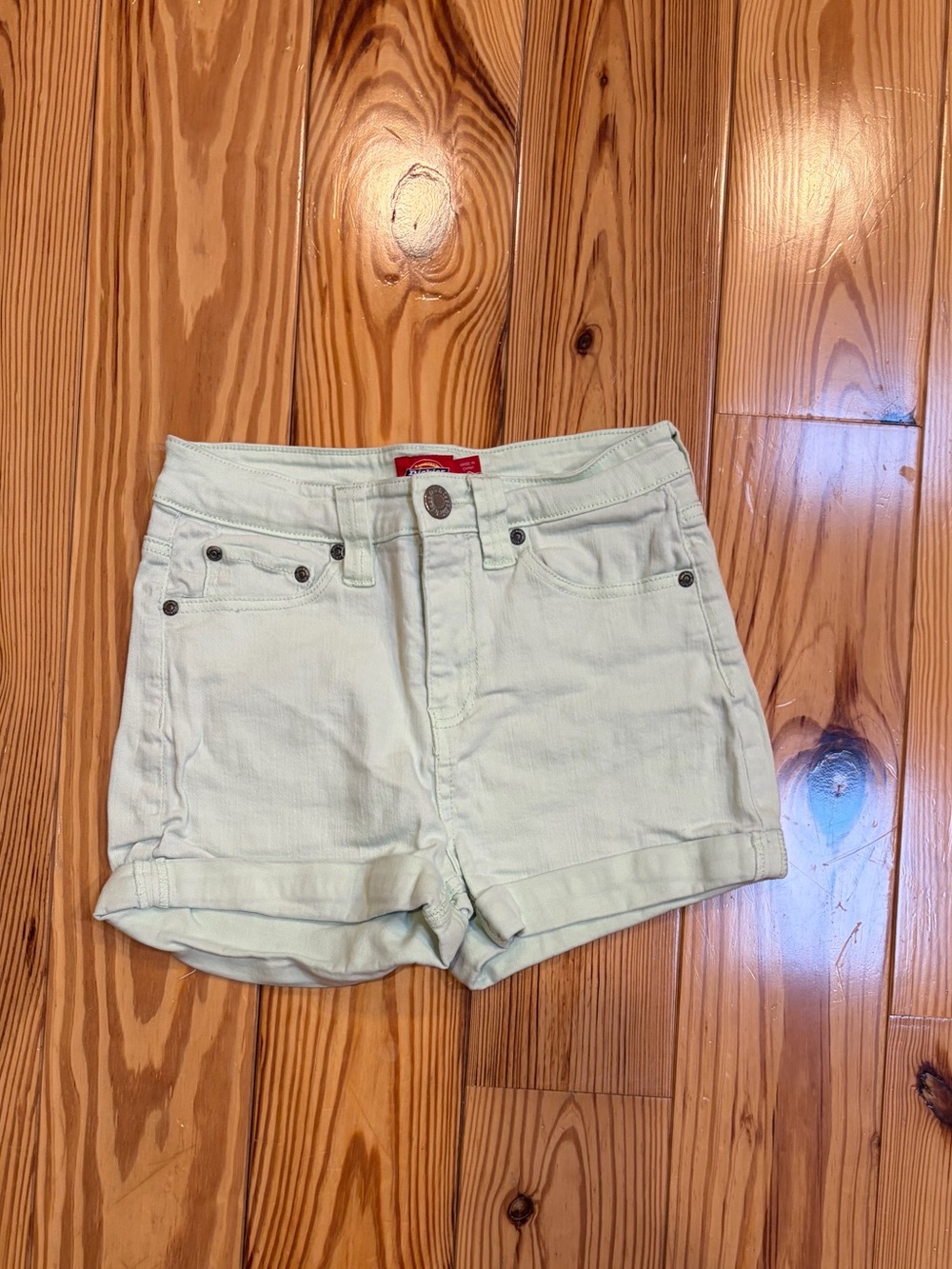 Dickies Seafoam Mint Color Shorts